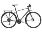 TREK FX 2 Disc Equipped tg M Satin Lithium Grey